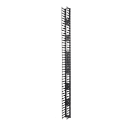 APC NetShelter Cable Management, Vertical Cable Manager, for NetShelter SX 750mm Wide 48U, 97 x 2184 x 160 mm - 1